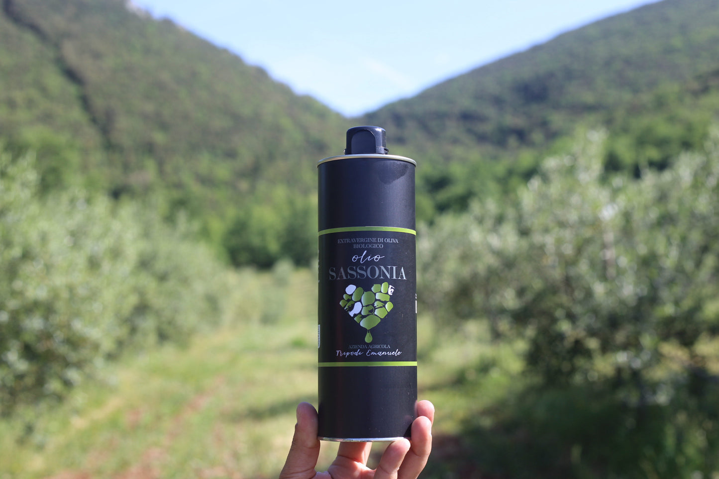 olio bio extra verfgine di Oliva del Parco Nazionale del Pollino