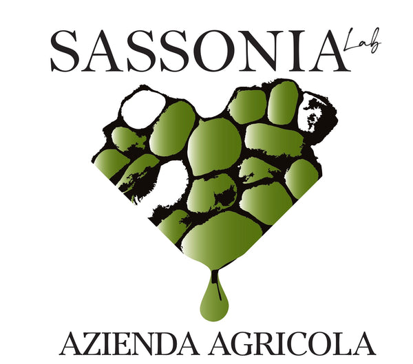 logo sassonia lab