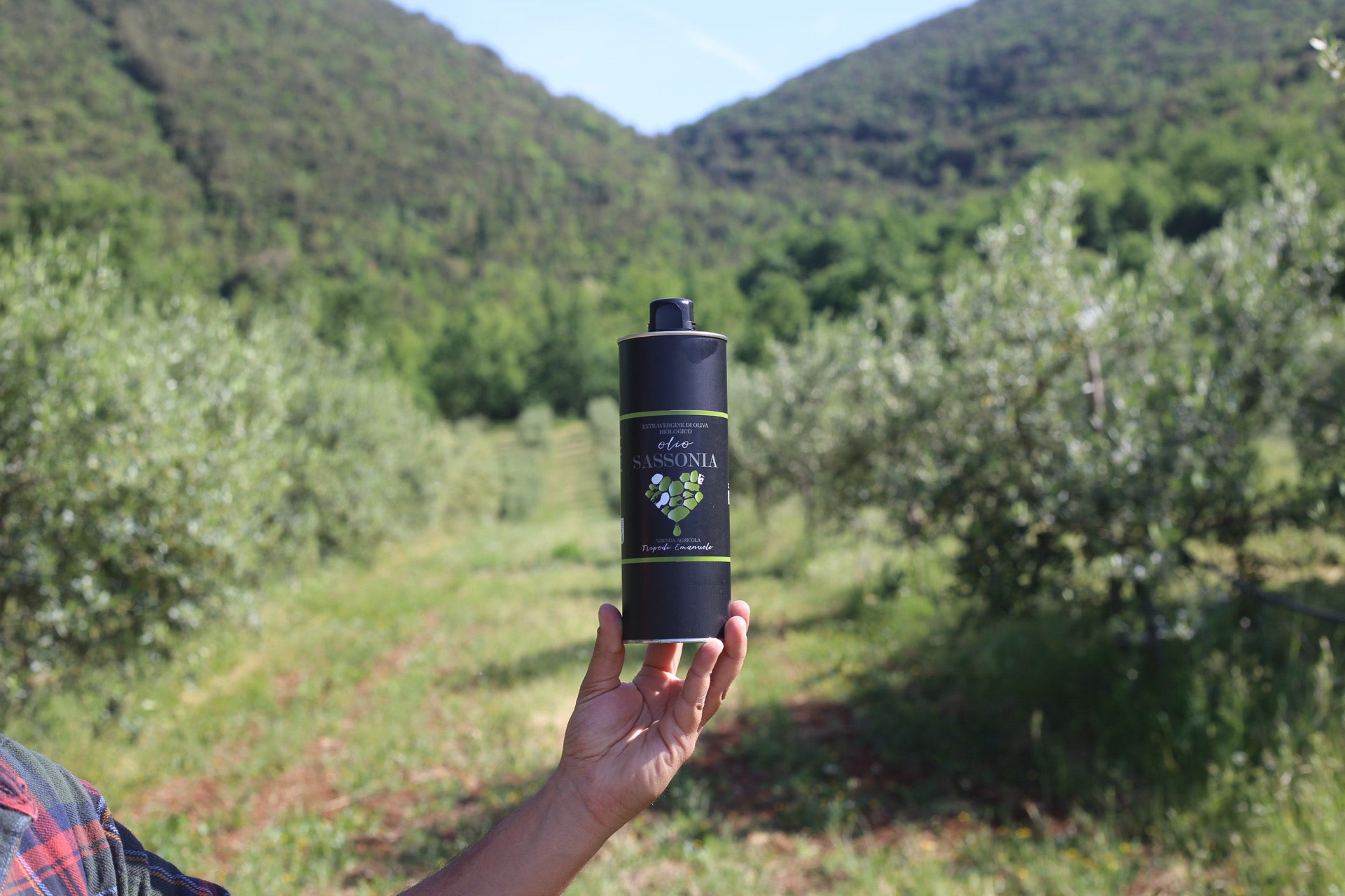olio biologico morano calabro parco nazionale del Pollino