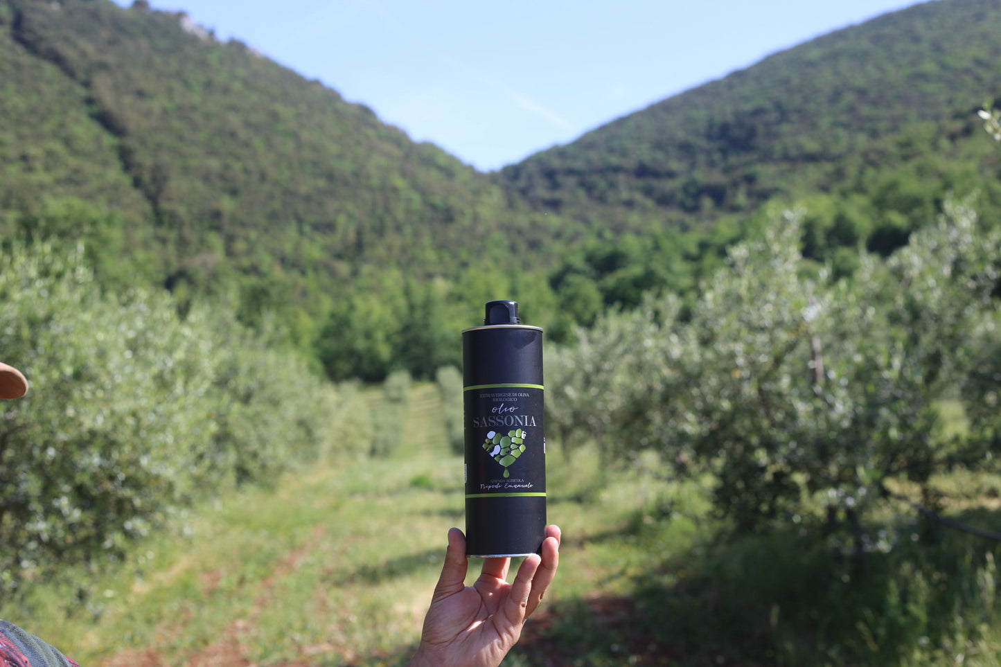 olio evo bio di calabria