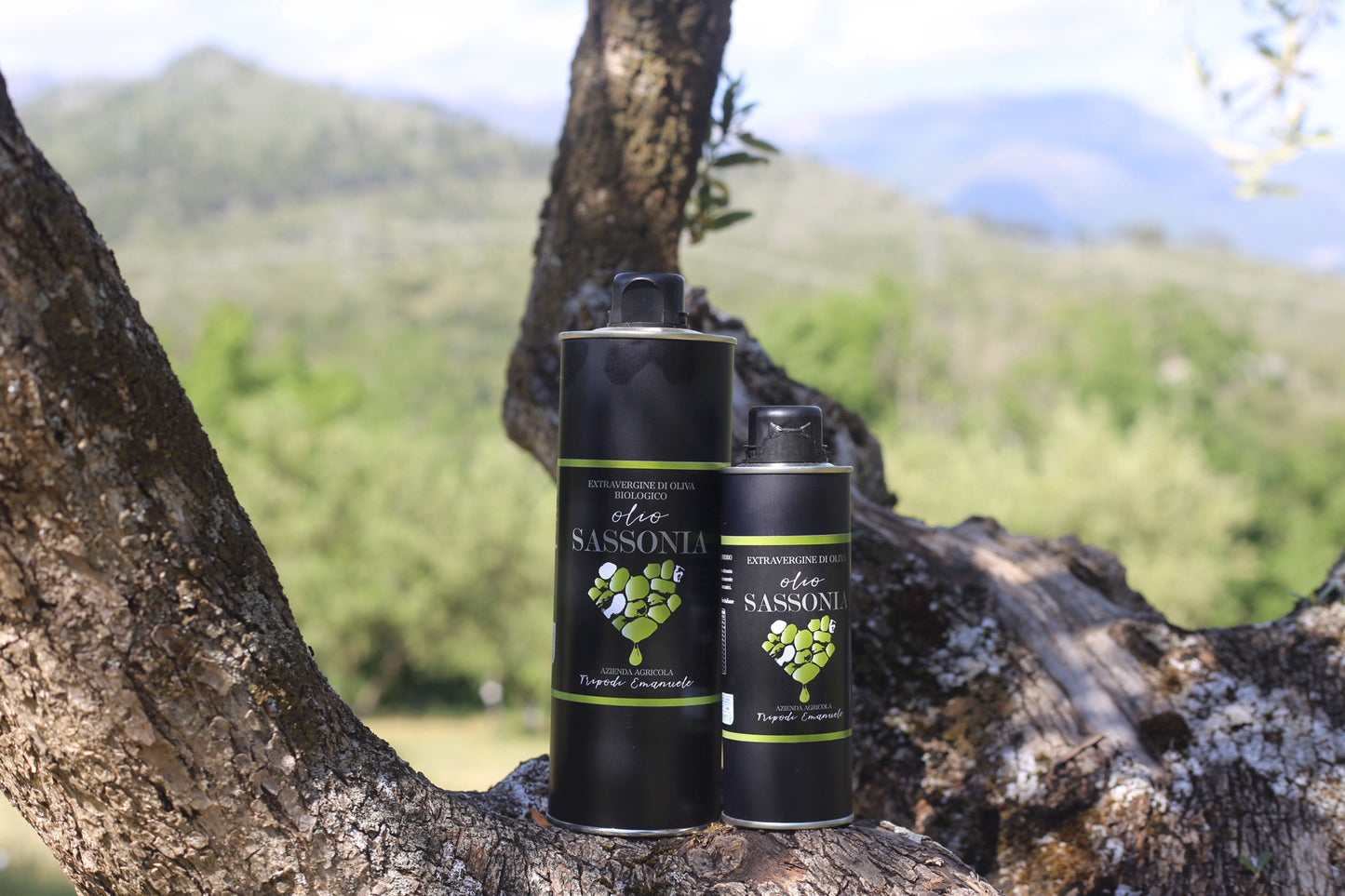 olio extra vergine di Oliva io di calabria